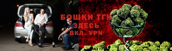 Альфа ПВП Аркадак
