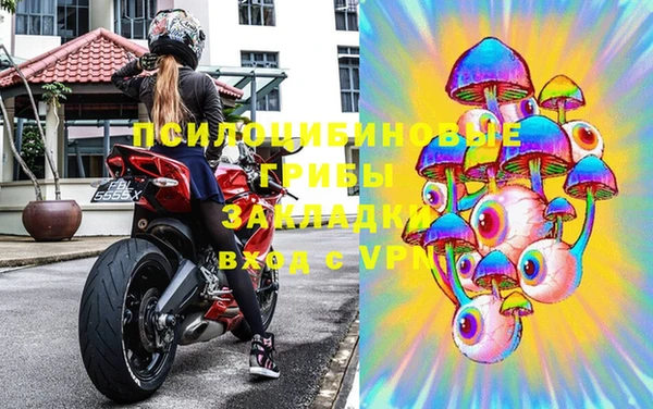 гидра Балахна