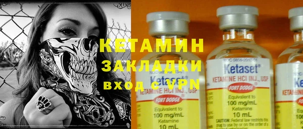 индика Нязепетровск