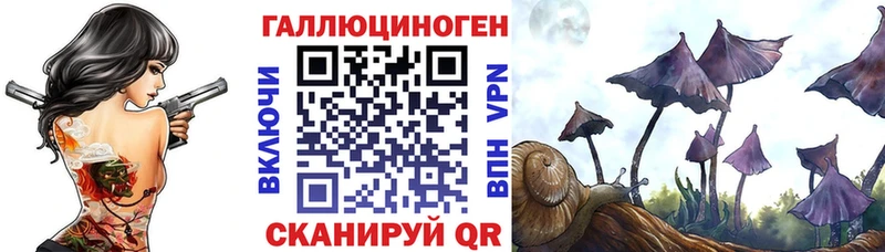 ОМГ ОМГ ссылка  Спас-Деменск  Псилоцибиновые грибы GOLDEN TEACHER  где продают  