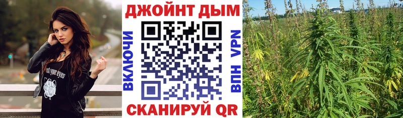 Марихуана индика  купить наркоту  дарк нет Telegram  Спас-Деменск 